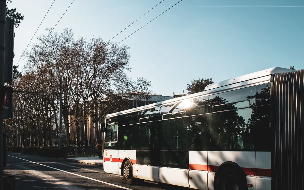 An articulated trolleybus moving along a tree-lined city road